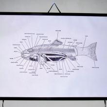 Tribute Money, 2009 - Jaroslav Šlauf